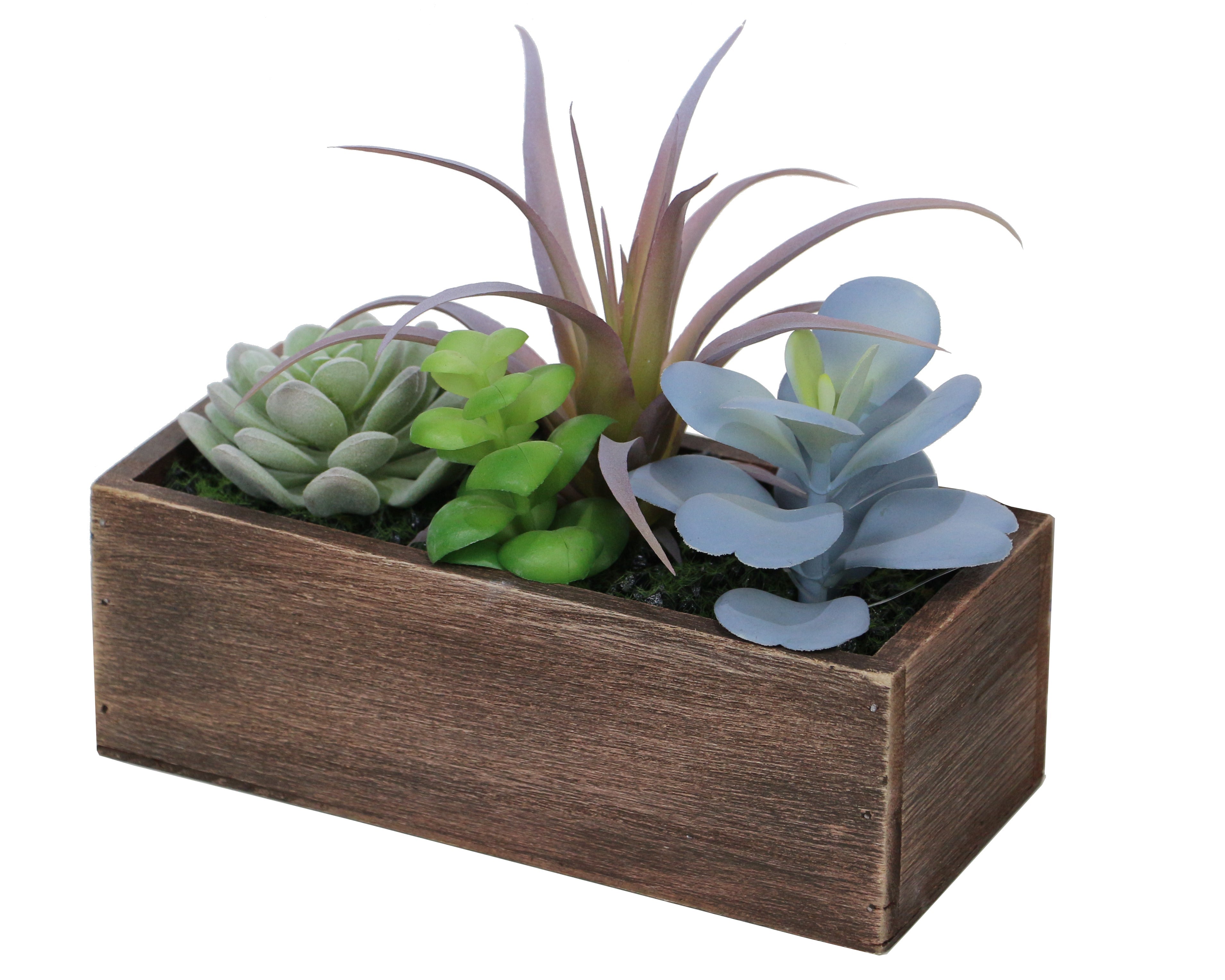 faux succulents in rectangular planter Rectangular Potted Colored Plant – Sabavi® Home