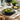 Villeroy & Boch Lave Vert Individual Pasta Bowl