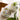 Villeroy & Boch Artesano Double-Walled Glass, Set of 2