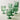 Tarhong Mesa Acrylic Goblet, Set of 6