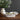 Beatriz Ball Vida Bloom Melamine Large Rectangle Bowl