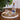 Beatriz Ball Indochine Round Lacquered Tray