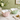 Beatriz Ball Encanto Carola Enamel on Metal Medium Bowl