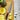 Zwilling Kramer 8" Narrow Chef's Knife