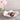 Beatriz Ball Encanto Colette Bowl