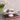 Beatriz Ball Encanto Colette Pedestal Cake Plate