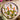 Caskata Nasturtiums Large Round Birchwood Tray
