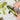 Dreamfarm Sharple Always Sharp Safety Peeler
