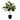 Lifelike Rubber Ficus Bonsai Leaves Tree Plant