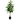 Artificial Shorter Rubber Ficus Tree