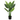 Aureum Bonsai Faux Leaves Plant in Plastic Pot