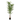 Artificial Tall and Thin Leaf Palm Tree