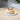 Kinor Marble Base Cake Dome