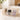 Caesarea Corrugated Lucite Coffee Bar Organizer
