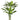 Triple Trunk Evergreen Plant
