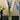Bold Drinkware Polycarbonate Reflections Vase