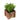 Rustic Potted Greenery