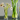 Bold Drinkware Polycarbonate Tranquil Vase