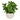 Artificial Deep Green Potted Plant