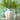 Beatriz Ball Glass Vento Large Rounded Vase
