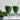 Holmegaard Perfection Beer Glass, Set of 6
