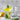 Crystalia Miami Tumbler Glasses, Set of 6