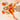 Dreamfarm Orange Fluicer